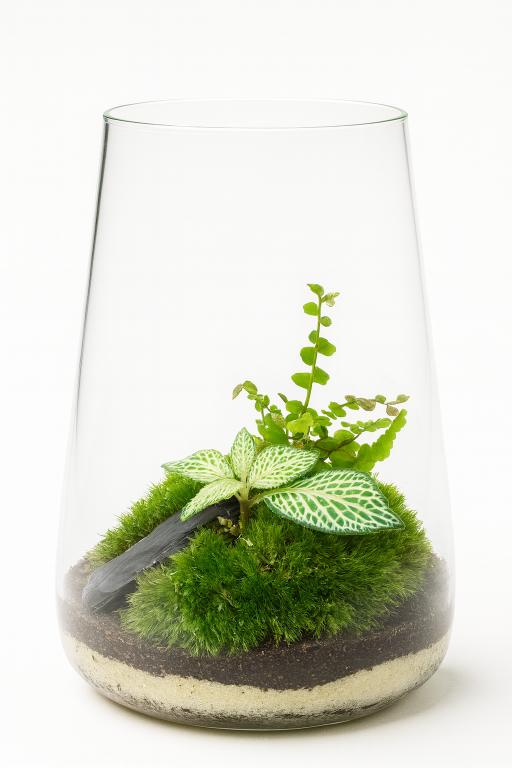 terrario de plantas